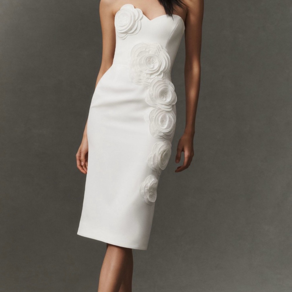 NWT Helsi Kaia 3D Floral Strapless Midi Dress